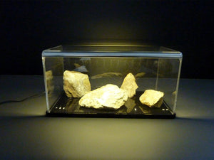 Setzkasten für Steine & Mineralien - Von Sammlern geschätzt