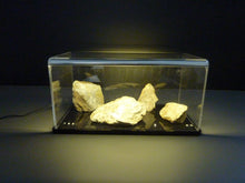 Laden Sie das Bild in den Galerie-Viewer, Viewcase Sammlervitrine beleuchtet - Der Allrounder 30x15x15 cm