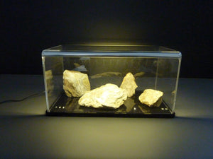 Viewcase Sammlervitrine beleuchtet - Der Allrounder 30x15x15 cm