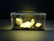 Laden Sie das Bild in den Galerie-Viewer, Setzkasten für Steine &amp; Mineralien - Von Sammlern geschätzt